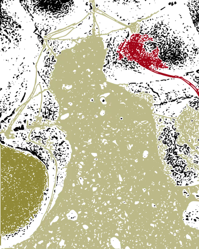 Abstract Image